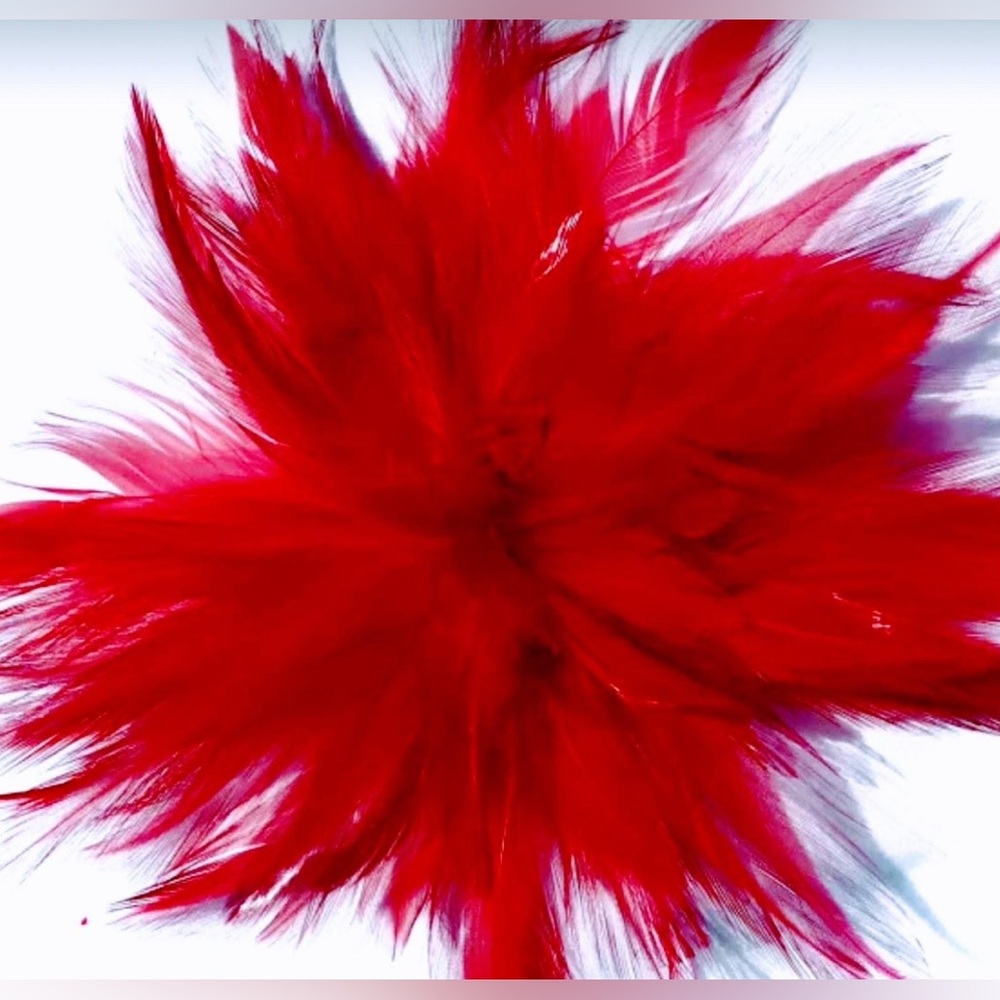 Red Feather Fascinator Hair Clip. Handmade in USA.
Ostrich feather accent.